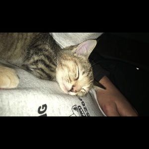 Meet your Posher, Abigail